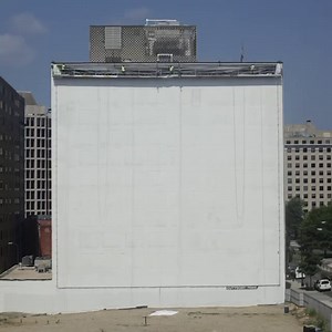 For several years, National Geographic has used a building-sized billboard across the street from our HQ in downtown Washington, D.C., to declare the most important priorities as an organization. As of last week, the billboard now features one message: Black Lives Matter. We, along with our partners at National Geographic, are committed to speak up and take action by doing more to elevate and support Black Explorers, educators, and storytellers and pursuing systemic change within our organizatio