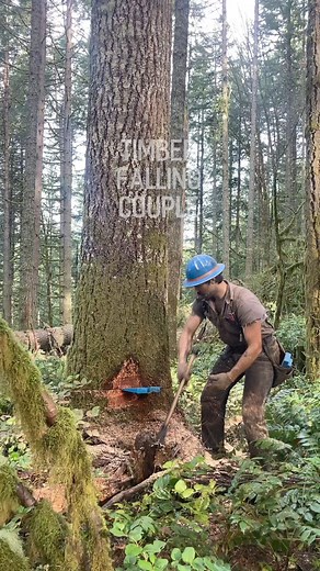 Don't just tap them wedges, beat 'em! Click Below for FULL VIDEO ⬇️ | Timber Falling Couple