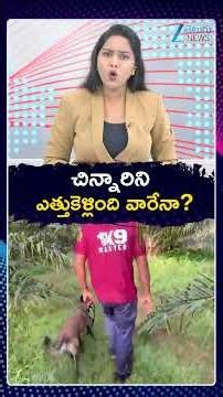 Twist In Kakinada Jahnavi Missing Case | చిన్నారిని ఎత్తుకెళ్లింది వారేనా | ZEE Telugu News