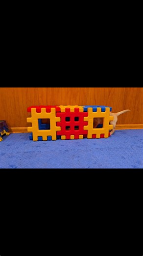 #bluepathFinn walks through the Waffle Board tunnel as he explores his new environment. | BP Raiser