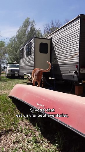 27K views · 51 reactions | Profitez de Black Friday : –40 % sur les colliers connectés pour animaux Tractive ! Veillez à la sécurité et au bien-être de votre protégé. Offre limitée. | Tractive | Facebook