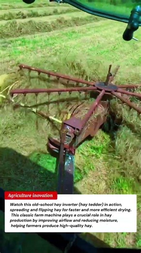 Old Hay Inverter in Action | Fast Drying Hay with Classic Farm Equipment 🚜🤖