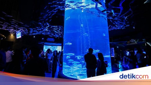 Jakarta Aquarium & Safari, Wisata Akuarium di Dalam Mall Neo Soho