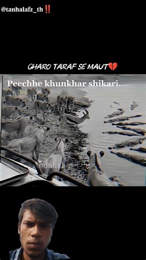 love animals respect animals #video #animals #viralvideo #viraltrending #shortvideo #sad #shorts