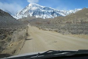 Change of Heart & Bubba Gump