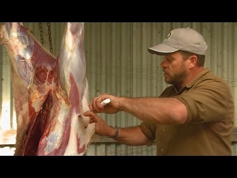 Butchering a deer - Field to Fork part 6