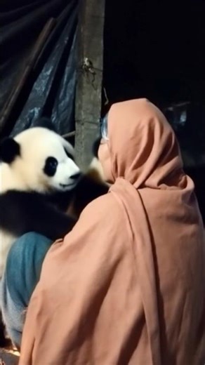 panda pals tutorial 😱🐼☺️ #anime #tutorial #panda #shorts