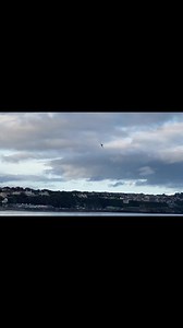 1.5K views · 39 reactions | MGP Spitfire flypast, Douglas Bay. | Mark Falconer Fotos | Facebook