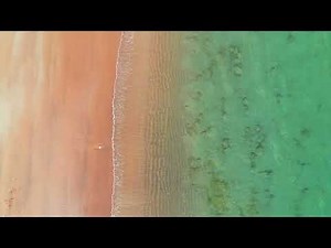 "Paradise Found: Exploring the Best Beaches in Darwin"