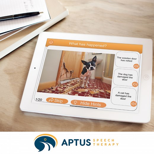 Inference Pictures for Social Inferencing