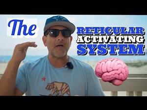 reticular activating system
