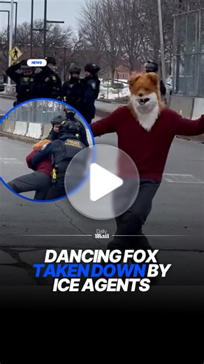 The dancing fox had allegedly been warned to move #ice #agents #minnesota | Daily Mail Video