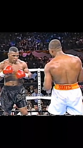 Iron Mike | All lovers boxing