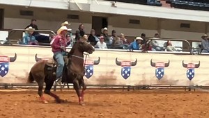 4.4K views · 75 reactions | The CINCH JEANS USTRC Open Roping is baaaccckkkkk y’all!!! We’re headed into Round 3 here at the Will Rogers Coliseum. Stay tuned..... we’ll stream the short round LIVE at approximately 10:00 pm #texastime. | USTRC | Facebook