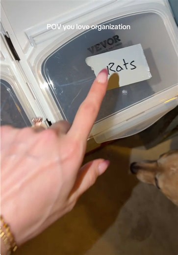 Best Dog Food Storage Bins for Pet Owners