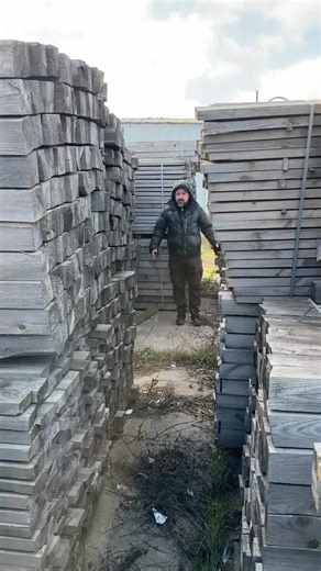 Этого леса тут полно