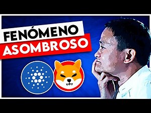 ✅ Noticias Criptomonedas | CBDC | Ripple | Aclaratoria | AxieInfinity | Desarrollador | Houbi