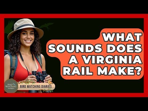 What Sounds Does A Virginia Rail Make? - Bird Watching Diaries