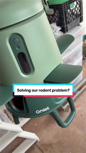 My hope is that this new feeder can reduce my work load while we tackle this rodent issue! #mice #omlet #chickens #farmchores #homestead