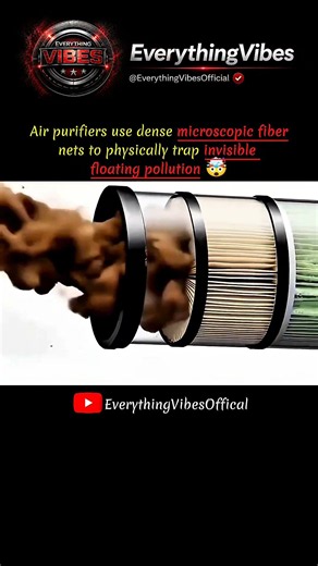 How True HEPA Filters Separate Microscopic Particles From Air 🤯