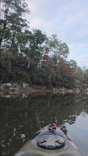 Sepulga River Alabama #kayaking #alabama #nature