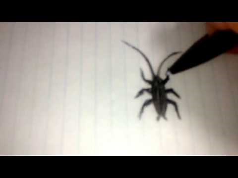 How to make a fake cockroach out of paper