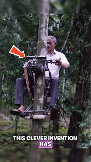 This Machine Lets You Climb Trees This powerful machine lets you climb trees with ease and complete tasks safely and efficiently. It’s perfect for outdoor work, boosting productivity while reducing effort. Ideal for professionals and homeowners who want reliable performance, smart technology, and long-term value in every project. #OutdoorTools #SmartEquipment #ProPerformance #reducingeffort #technology Credits : shreeganeshpatel, agroadventures, DiscoverAgriculture, mabensengineeringsolutions538