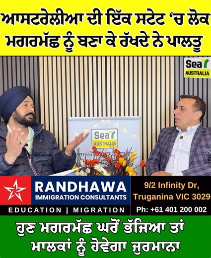 In Northern Territory state, people keep crocodiles as pets — but now, if a crocodile escapes from the home, the owners will face a heavy fine. New rules for Australians who keep pet crocodiles: if the crocodile escapes or poses a risk to the public, the owner will be fined immediately. #AustraliaNews #CrocodilePet #PetCrocodile #AustraliaUpdate #CrocodileEscape #WildlifeRules #AnimalLaws #AustralianState #BreakingNews #SafetyRules #sea7australia | Sea7 Australia