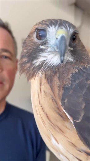 I cannot wait for @sewe this weekend! I'm delivering two exciting wildlife presentations, Friday at 2 PM & Saturday at 2 PM, February 13 and 14th, at the @gaillardcenter in Charleston SC. I love delivering these presentations, it's a chance to share incredible wild wonders of our planet, featuring amazing animal ambassadors from around the world, telling powerful stories of nature & conservation! The South East Wildlife Expo is one of my favorite events. The world's greatest wildlife artists, in