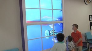 1K views · 73 reactions | We are excited to have our hallways and spaces come to life with Disney's Magic Windows. Thanks to Disney's generous support, Magic Windows provide mesmerizing views into the serene worlds of Disney’s beloved stories. | Orlando Health Arnold Palmer Hospital for Children | Facebook