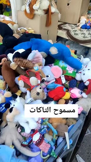 Exploring a Colorful Collection of Plush Toys and Dolls