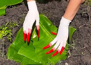 576K views · 2K reactions | Banho de Pés Relaxante no Coração da Natureza | Ideias Incríveis | Facebook