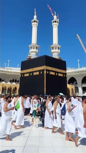 Woh Tanha Kon hai |#islamicshorts #islamicstatus #newnaath #naatsharif #naats #naat #naatstatus