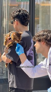 8.6K views · 68 reactions | Cloning a 20,000$ Exotic Cat In A DNA Laboratory溺良 | Coby Persin | Facebook