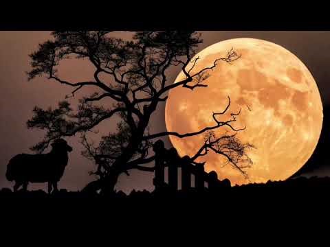 SHEEP JUMP TO SLEEP | 1 HOUR | FHD