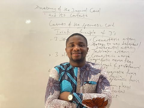 Inguinal Canal Made Easy