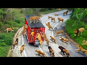 Incredible Moments Caught on Camera | Unbelievable Real-Life Scenes