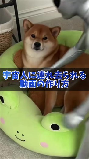 TikTokでやま｜TikTok×AI専門家さんをチェック！