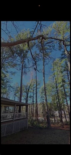 ReconTree&DevelopmentLLC (@recontreedevelopmentllc)’s videos with оригінальний звук - alssolo13