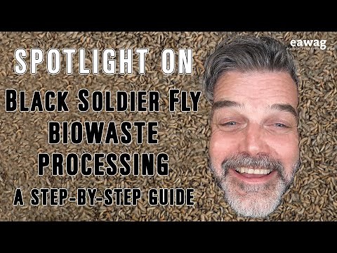 3.11b Spotlight Video - Black Soldier Fly Biowaste Processing