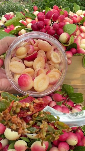 Siro ngâm chua ngọt lắc muối ớt — Cách làm siro ngâm chua cay mặn
