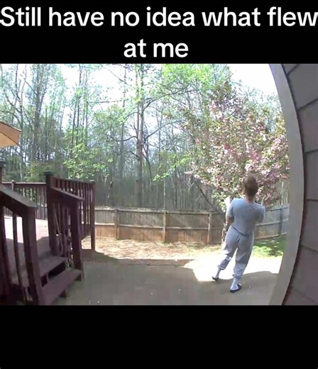 Scared me whatever it was 😂😂😂 #outside #outdoors #bug #zoom #see #watch #funny