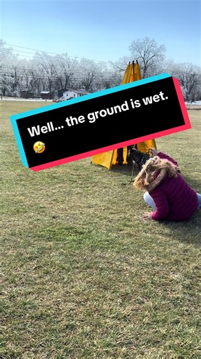 The ground is wet, and Helix sent it a little too hard 🤣🤣 #igp #sportdog #fyp #dogtraining #protectiondogs