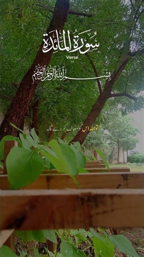 surah Al Maidah#quranictranslation #islamicrecitation #quranforeever #quran