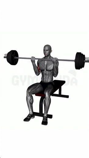 Seated Barbell Curl - Perfect Form Guide #shorts