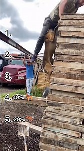 RANKING THE MOST FUNNIEST VIDEO IN THE WORLD 😹😹