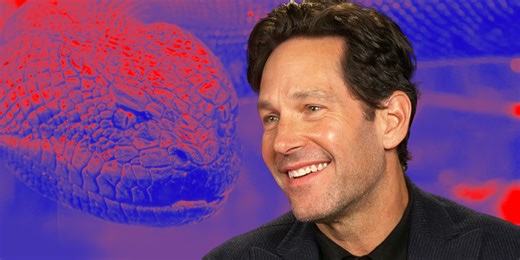 "It's Not a Remake": Paul Rudd Teases 'Anaconda' Movie Arriving This Christmas [Exclusive]