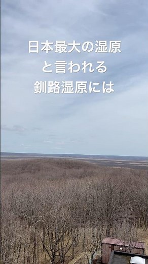 日本最大の湿原、釧路湿原は壮大な大自然を感じることができる #旅行 #日本一周 #観光 #北海道 #景色 #大自然