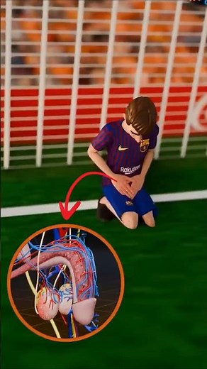 Testicle Pain Explained with Science 🧠⚡ | 3D Animation