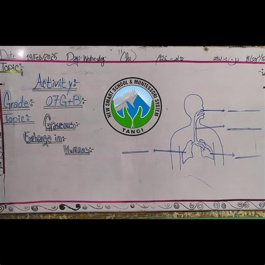 Grade 7th Science Activity ( Gaseous Exchange in Humans ) #tangi #charsadda #pencharsadda#kptiktok